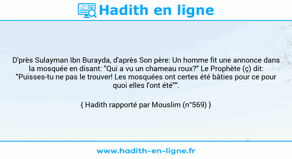 Une image avec le hadith : D'près Sulayman Ibn Burayda, d'après Son père: Un homme fit une annonce dans la mosquée en disant: "Qui a vu un chameau roux?" Le Prophète (ç) dit: "Puisses-tu ne pas le trouver! Les mosquées ont certes été bâties pour ce pour quoi elles l'ont été"". Hadith rapporté par Mouslim (n°569)