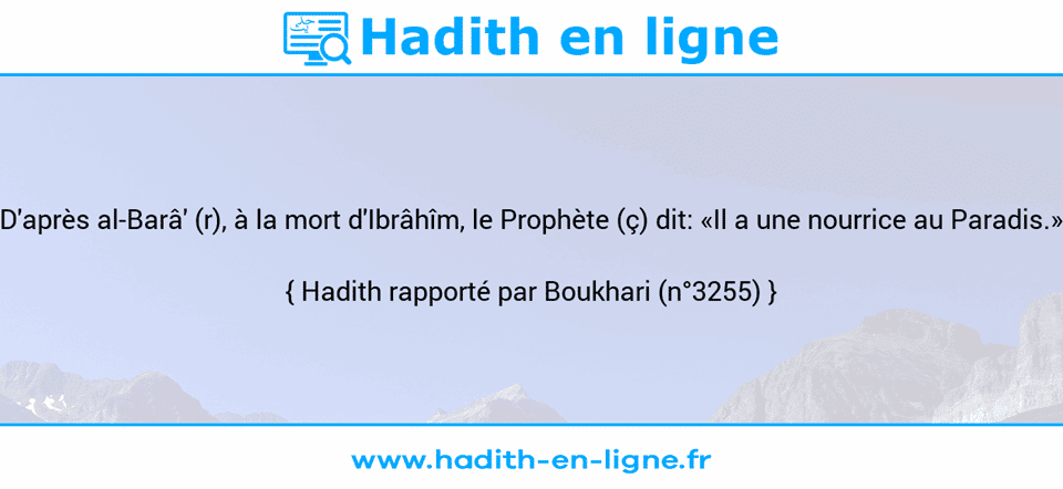 Une image avec le hadith : D'après al-Barâ' (r), à la mort d'Ibrâhîm, le Prophète (ç) dit: «Il a une nourrice au Paradis.» Hadith rapporté par Boukhari (n°3255)
