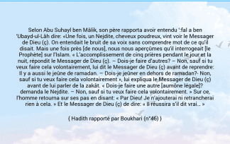 Selon Abu Suhayl ben Mâlik, son père rapporta avoir entendu ‘:fal a ben ‘Ubayd-ul-Lâh dire: «Une fois, un Nejdite, cheveux poudreux, vint voir le Messager de Dieu (ç). On entendait le bruit de sa voix sans comprendre mot de ce qu’il disait. Mais une fois près [de nous], nous nous aperçûmes qu’il interrogeait [le Prophète] sur l’Islam. « L’accomplissement de cinq prières pendant le jour et la nuit, répondit le Messager de Dieu (ç). – Dois-je faire d’autres? – Non, sauf si tu veux faire cela volontairement, lui dit le Messager de Dieu (ç) avant de reprendre: Il y a aussi le jeûne de ramadan. – Dois-je jeûner en dehors de ramadan?- Non, sauf si tu veux faire cela volontairement », lui expliqua le Messager de Dieu (ç) avant de lui parler de la zakât. « Dois-je faire une autre [aumône légale]? demanda le Nejdite. – Non, sauf si tu veux faire cela volontairement. » Sur ce, l’homme retourna sur ses pas en disant: « Par Dieu! Je n’ajouterai ni retrancherai rien à cela. » Et le Messager de Dieu (ç) de dire: « Il réussira s’il dit vrai… »»